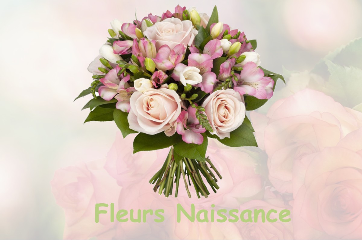 fleurs naissance LA-DESTROUSSE