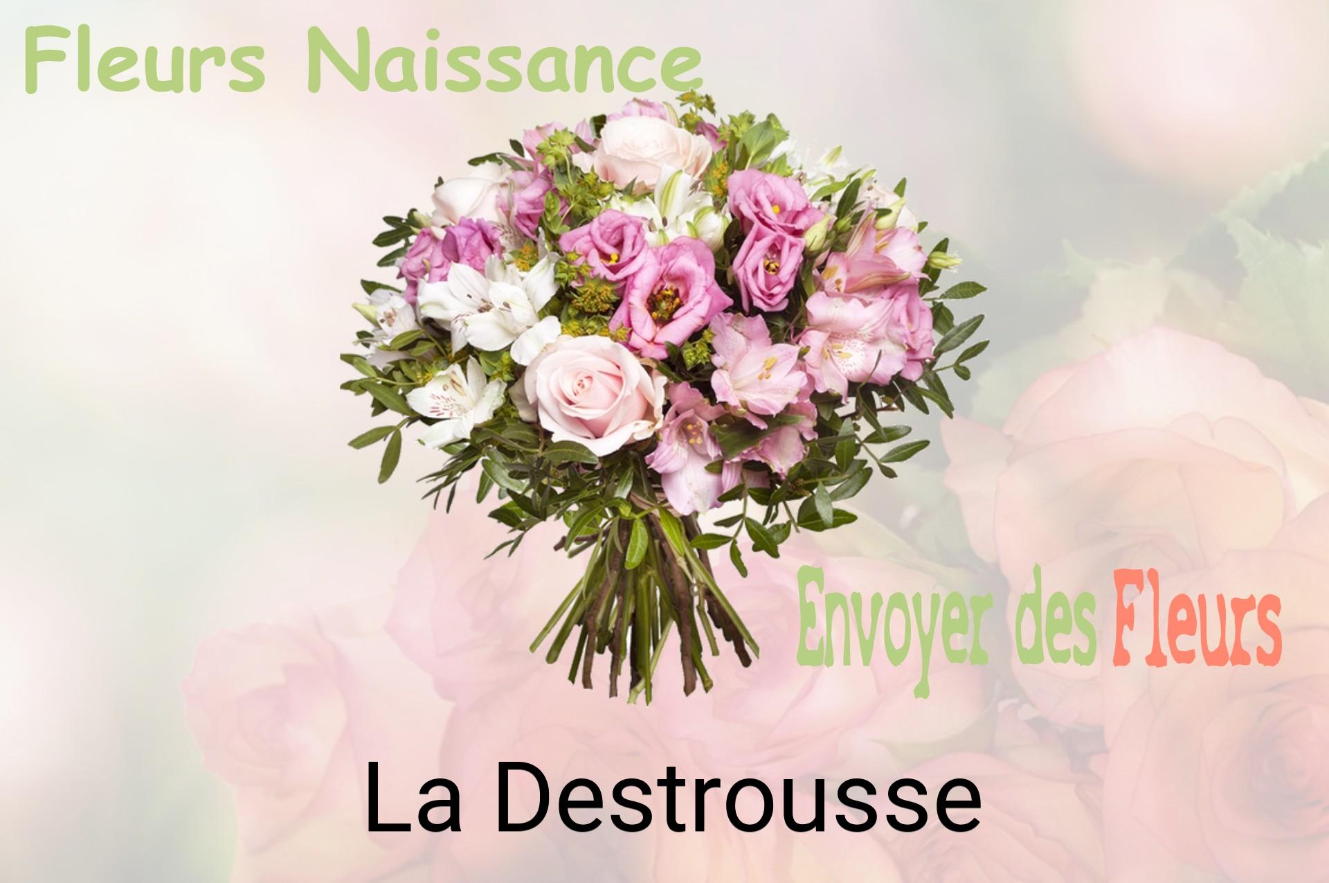 Bouquet de fleurs de naissance livré à La Destrousse