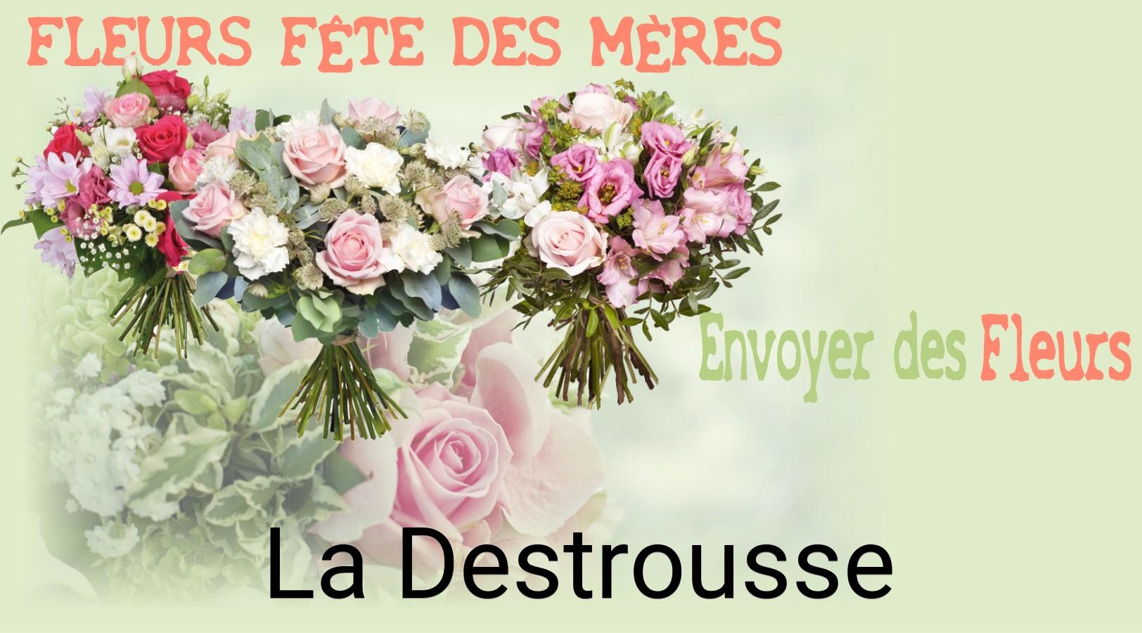 Bouquet de Fête des Mères livré à La Destrousse