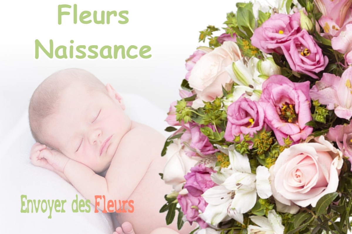 lIVRAISON FLEURS NAISSANCE à LA-DESTROUSSE